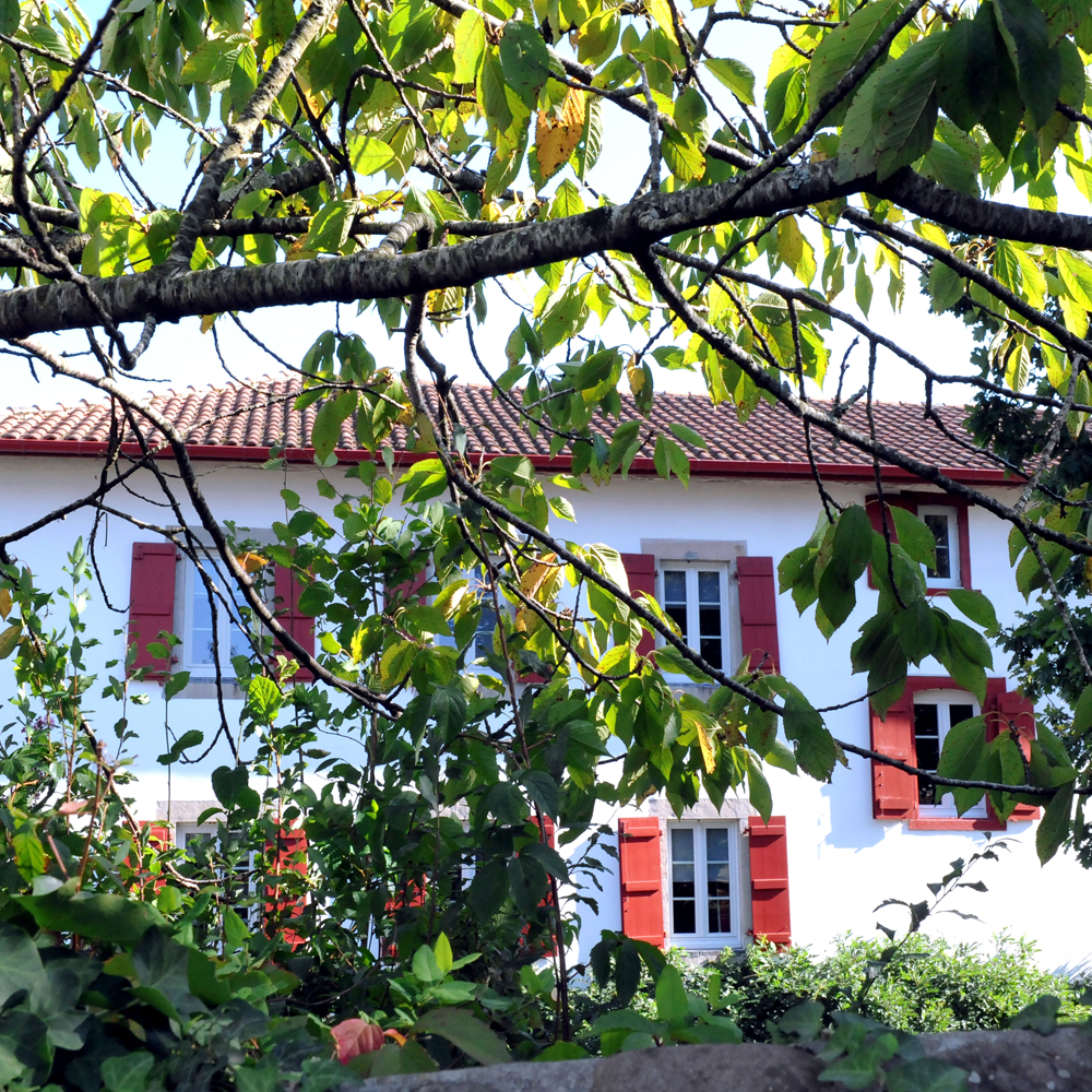 image-home-01