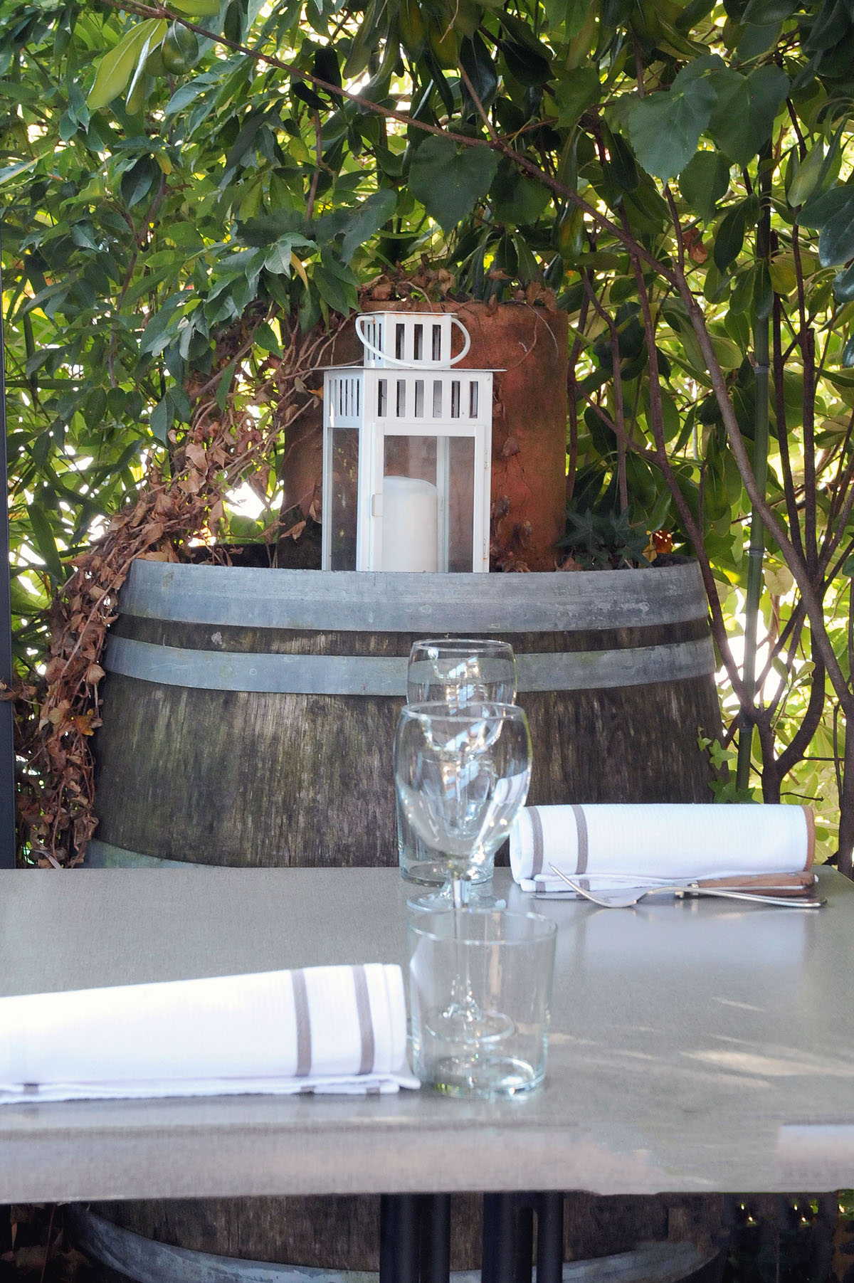 vignette-jardin-03