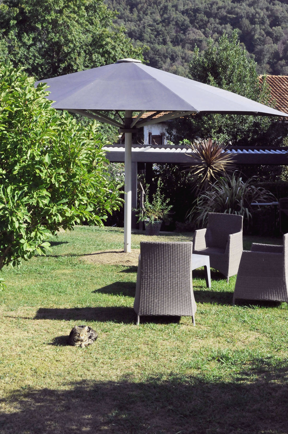 vignette-jardin-1
